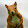 clou clou clou clou's profile photo