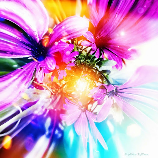 posted image