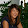 Christine Holst Christine Holst's profile photo