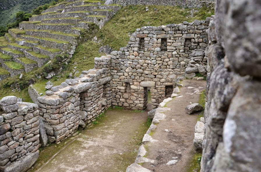 DSC_4763.JPG