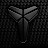 Robin Reyes avatar image