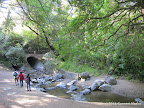 Picnic area in Alvarado Area called "Camp Well"