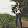 gustav thoresson gustav thoresson's profile photo