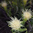 Jasmine Ensign avatar image