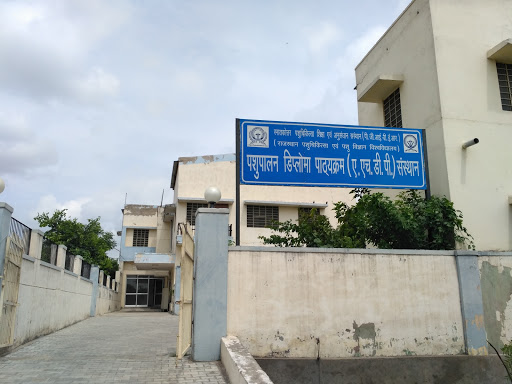 PGIVER Jaipur (OLD), B-2 By-Pass, Shipra Path, Barh Devariya, Mansarovar, Jaipur, Rajasthan 302020, India, University, state RJ