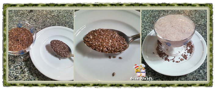 Mucilagem de linhaça 2 Mucilagem de linhaça 2