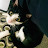 Becky Ingamells avatar image