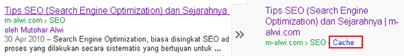 Google Cache