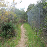 Track along fence near M2 (79768)