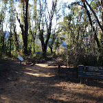 Top of Perrys Track (52343)