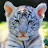 Jose Moron avatar image