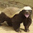 Adan M avatar image