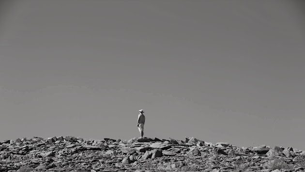 Cover photo