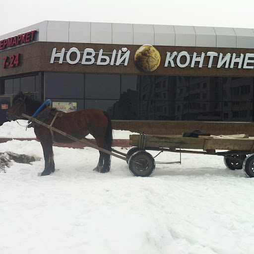 Обзор активности белорусских хоккеистов в соцсетях — фото