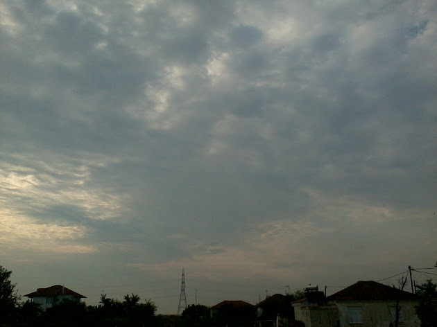 Cover photo
