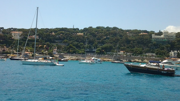 Cover photo