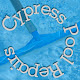 Cypress Pool Repairs