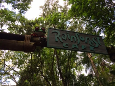 Rainforest Cafe Animal Kingdom Gluten Free Menu Rainforest Cafe Animal Kingdom Gluten Free Menu