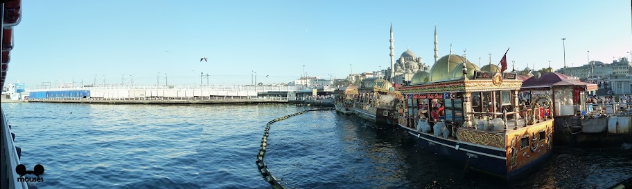 Simplemente Estambul - Blogs de Turquia - Santa Sofia, Gran Bazar, Crucero Bósforo, etc 25/09/12 (15)