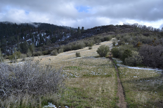 green grass lined trail up the ridge line
