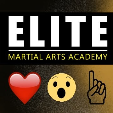 Elite Martial Arts Academy Braeside logo