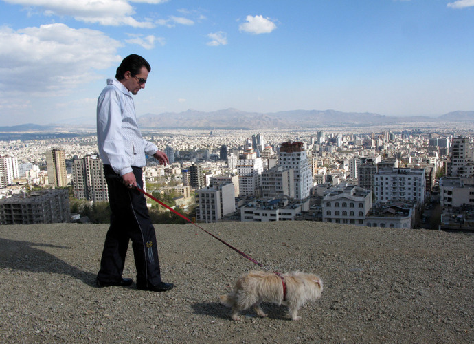 Iranian Lawmakers Proposing Ban on Owning of Dogs