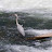 Bruce Saunders avatar image