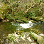Berowra Creek upstream of Fishponds (332960)
