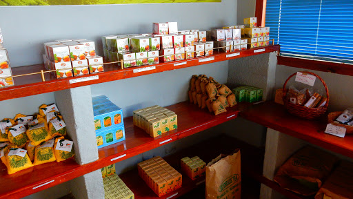 Tea Factory