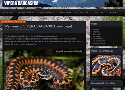 Field photo-reports on VIPERA CAUCASICA new web page 6868686