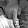 clericus curiae clericus curiae's profile photo