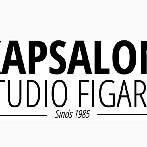 Studio Figaro logo