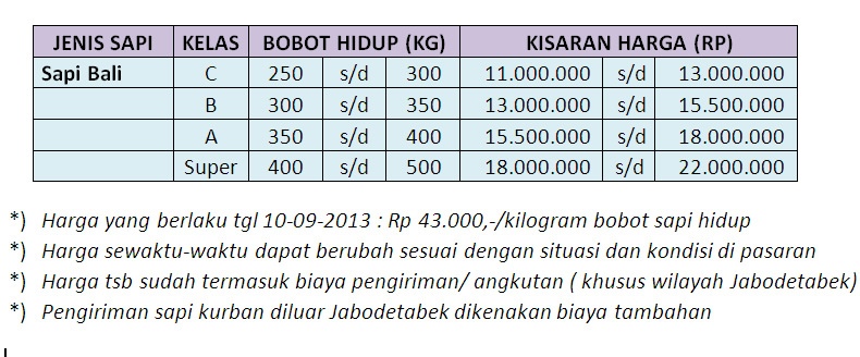 Perkiraan Harga Sapi Kurban Tahun 2013
