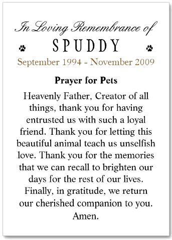 Purchase Heavenly Blue Pet Memorial Cards with Prayer for Pets on Back