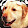 Christopher Orr Christopher Orr's profile photo