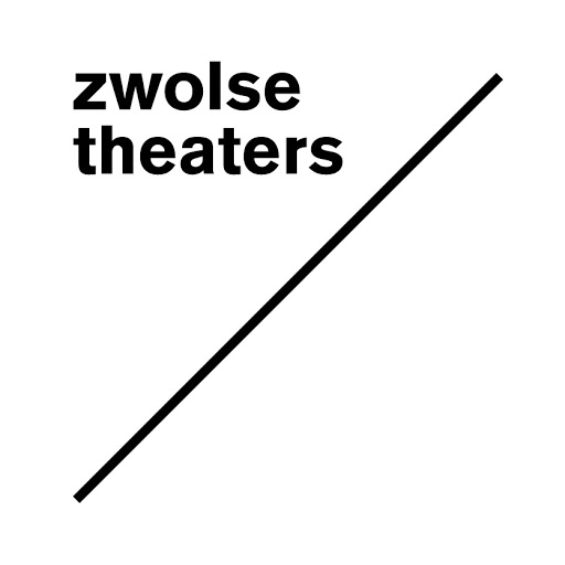 Theater De Spiegel logo