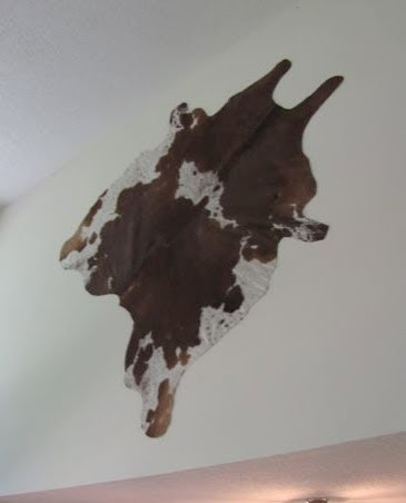 Cowhide rug on the wall