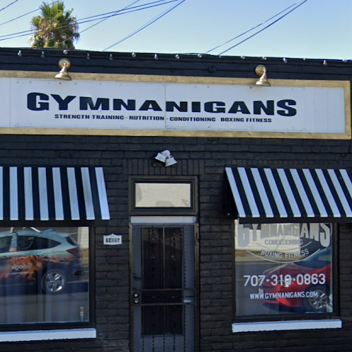 Gymnanigans Boxing Fitness & Strength Training for Women logo
