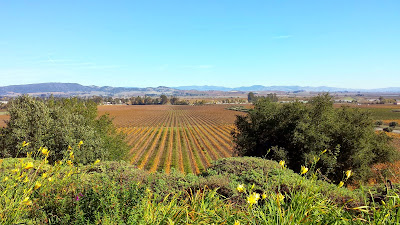 Welcome yourself to Wine Country with a visit to Gloria Ferrer and enjoy a flight of sparkling on their terrace overlooking their vineyards