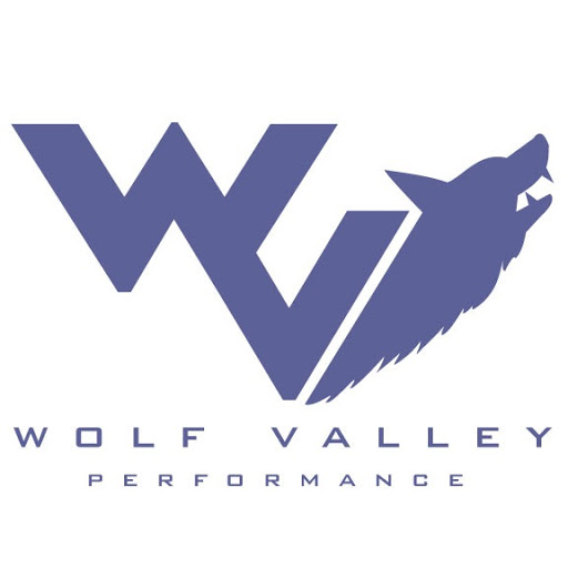 Wolf Valley Performance logo