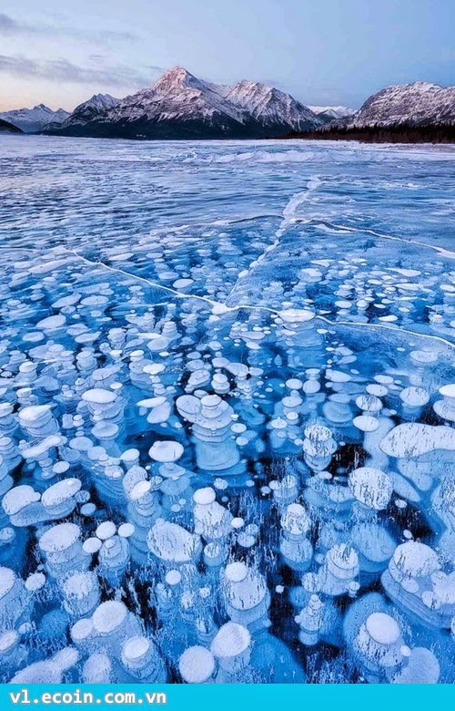Bong bóng khí dưới hồ bị đông cứng thành hồ băng tại Bắc Cực
