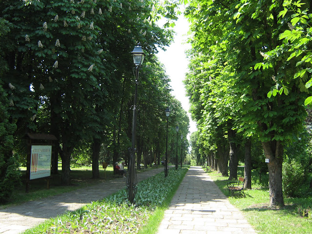 Grădina Botanică