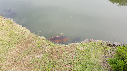 Rikugien