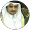 ابو عثمان الدهشلي