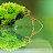 Hasti Hoorbod avatar image