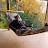 Don Ewing avatar image