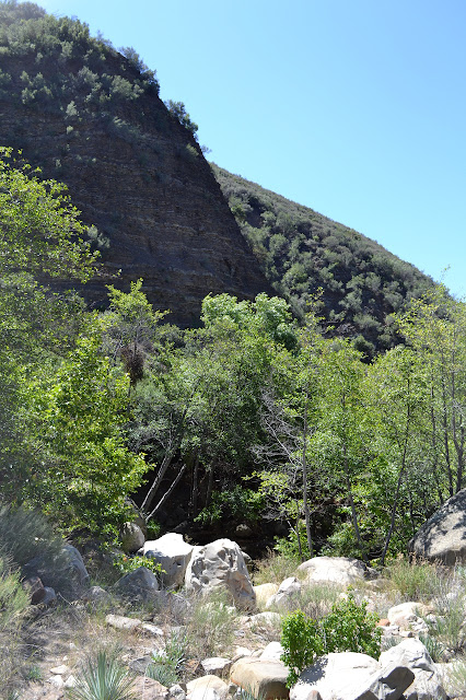 rock face and creek behind a camp, with a rope swing
