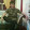 Agan Khalid Agan Khalid's profile photo