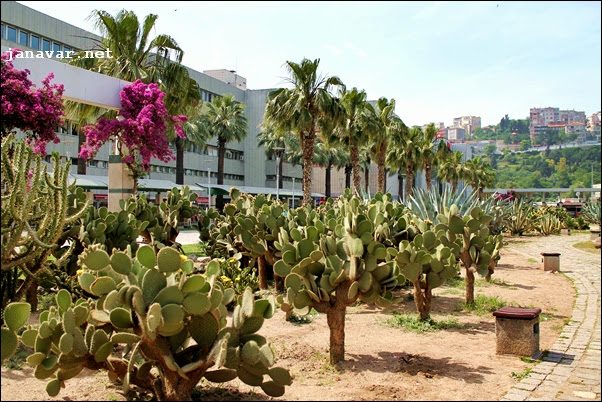 Turkey Tuesday: Kaktuspark in Izmir