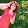 Phyllis Francene Livera Phyllis Francene Livera's profile photo